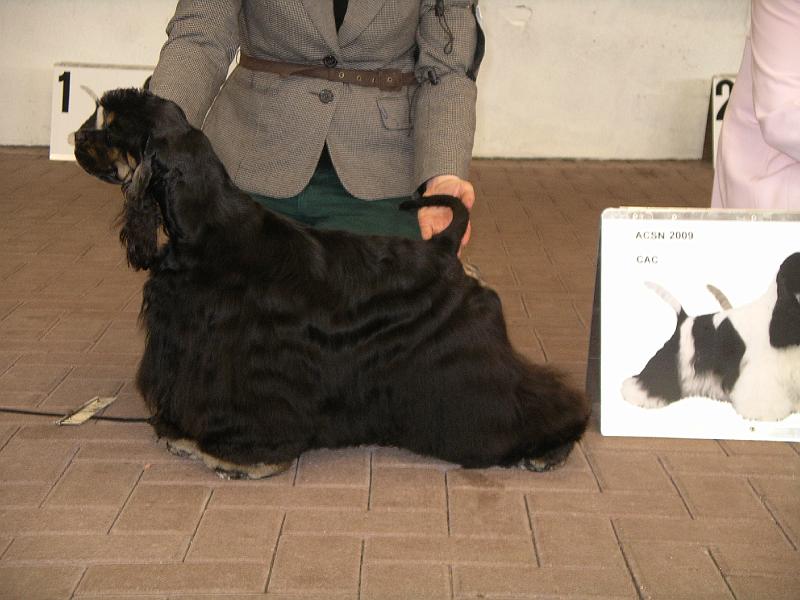 19 CAC teef  2009.jpg
